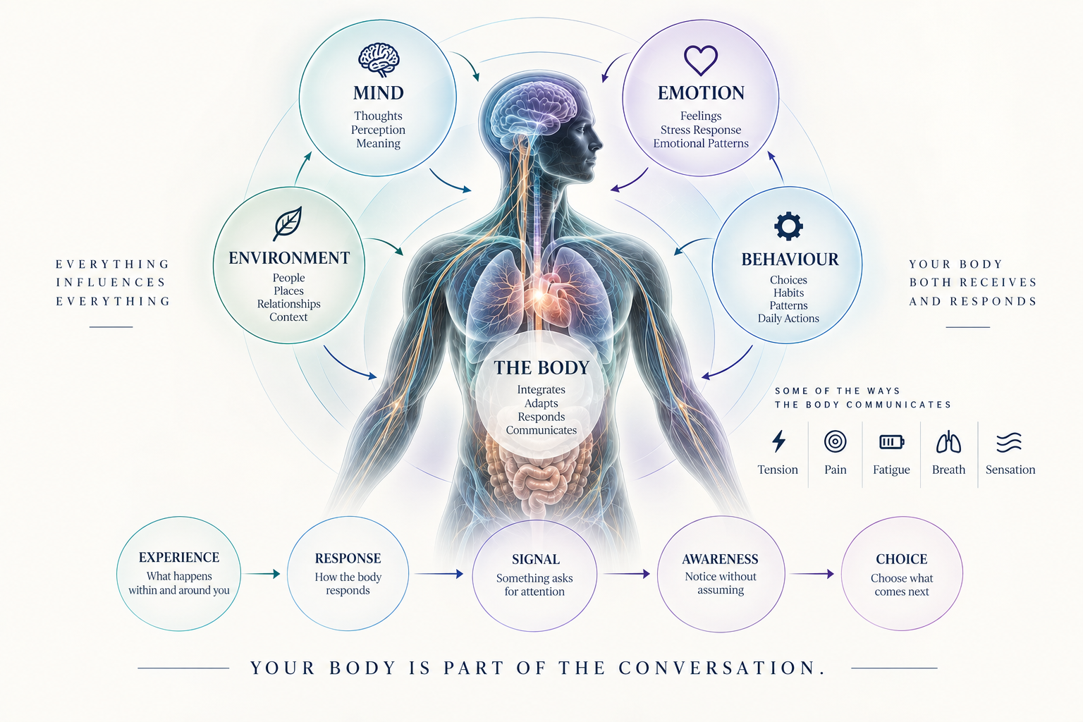 An anatomical figure surrounded by mind, emotion, environment and behaviour, showing how experience becomes response, signal, awareness and choice.